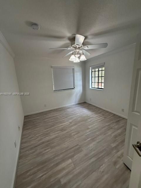 出租: $3,975 (4 贝兹, 2 浴室, 1790 平方英尺)