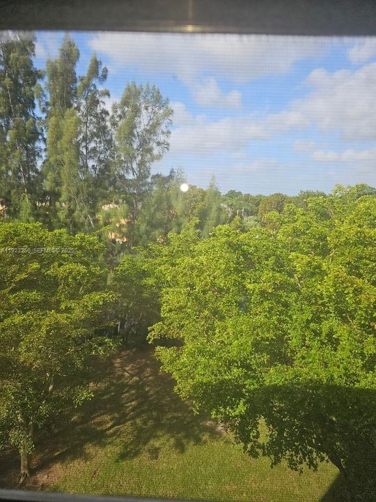 view from the balcony