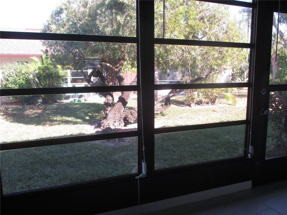 VIEW FROM ENCLOSED PATIO