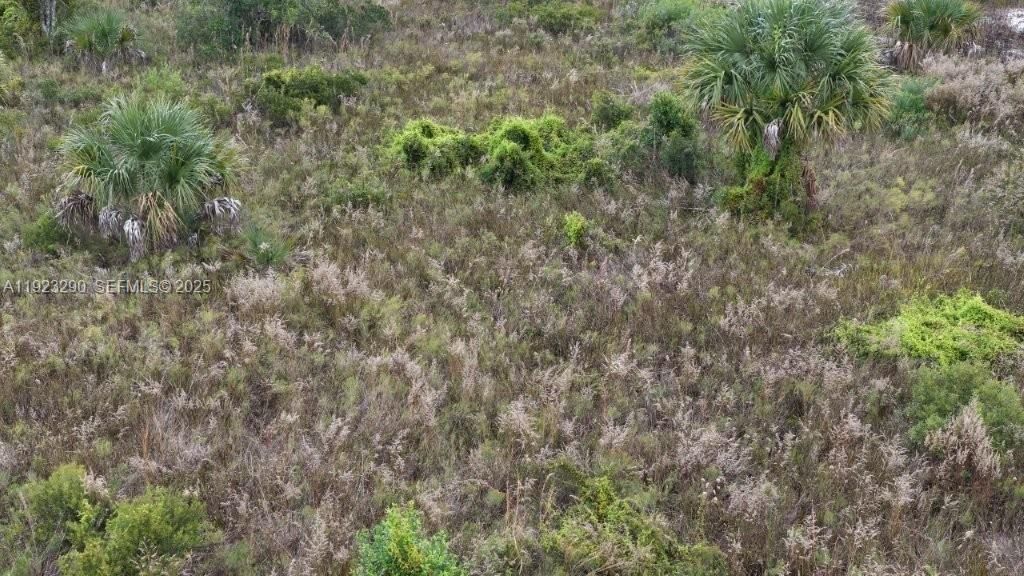 For Sale: $31,000 (1.50 acres)