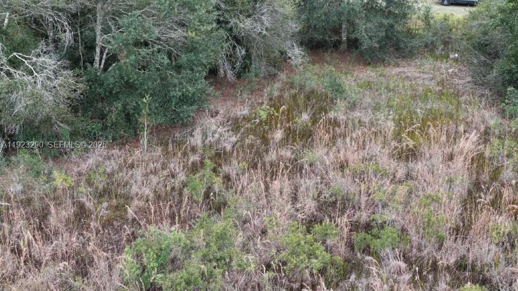 For Sale: $31,000 (1.50 acres)