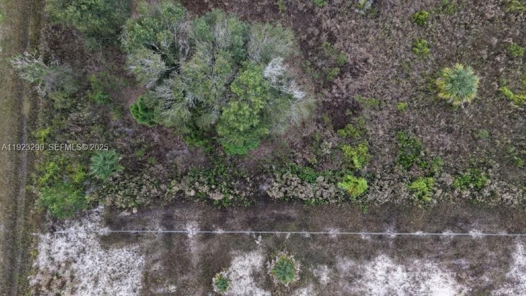 For Sale: $31,000 (1.50 acres)