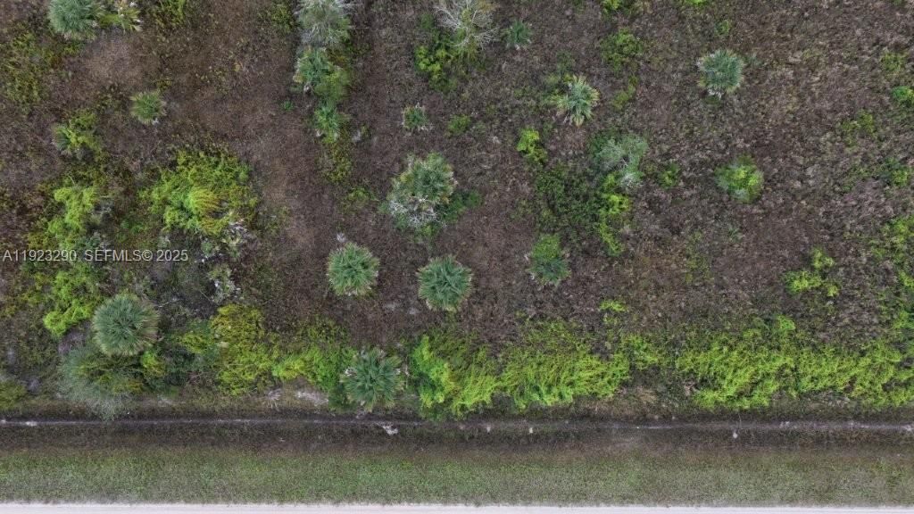 For Sale: $31,000 (1.50 acres)