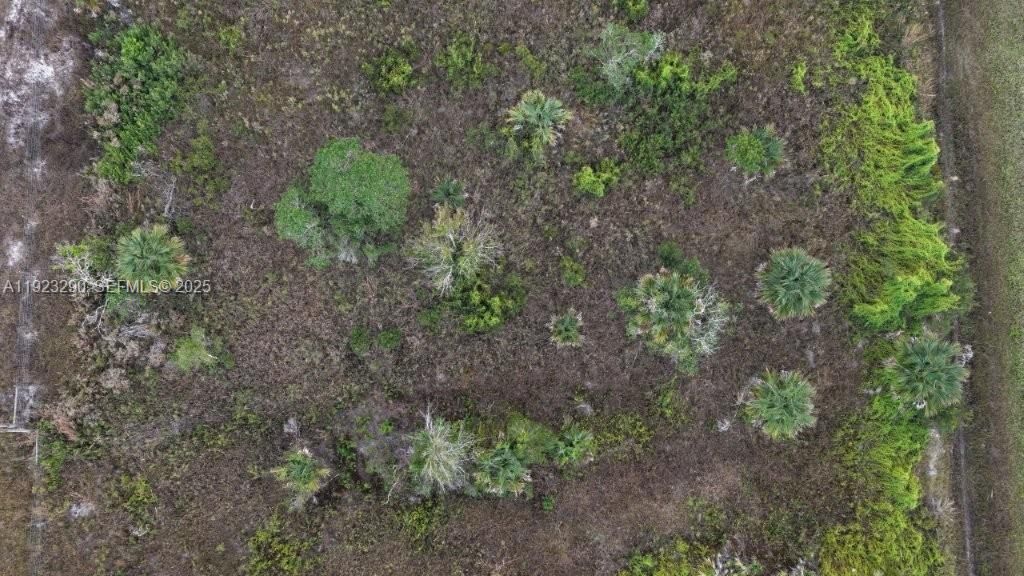 For Sale: $31,000 (1.50 acres)