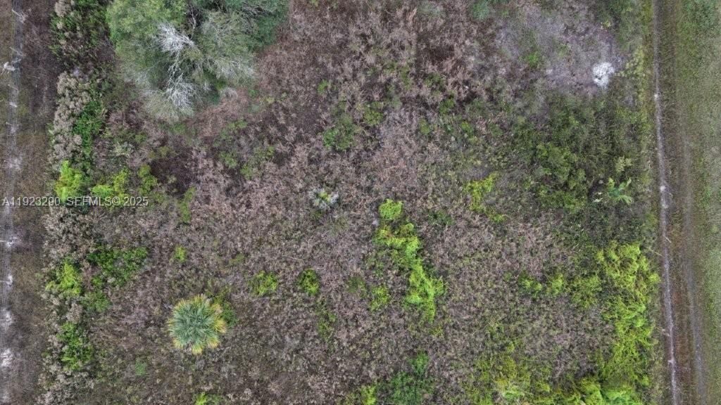 For Sale: $31,000 (1.50 acres)