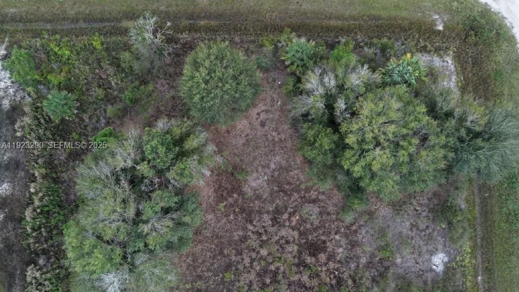 For Sale: $31,000 (1.50 acres)