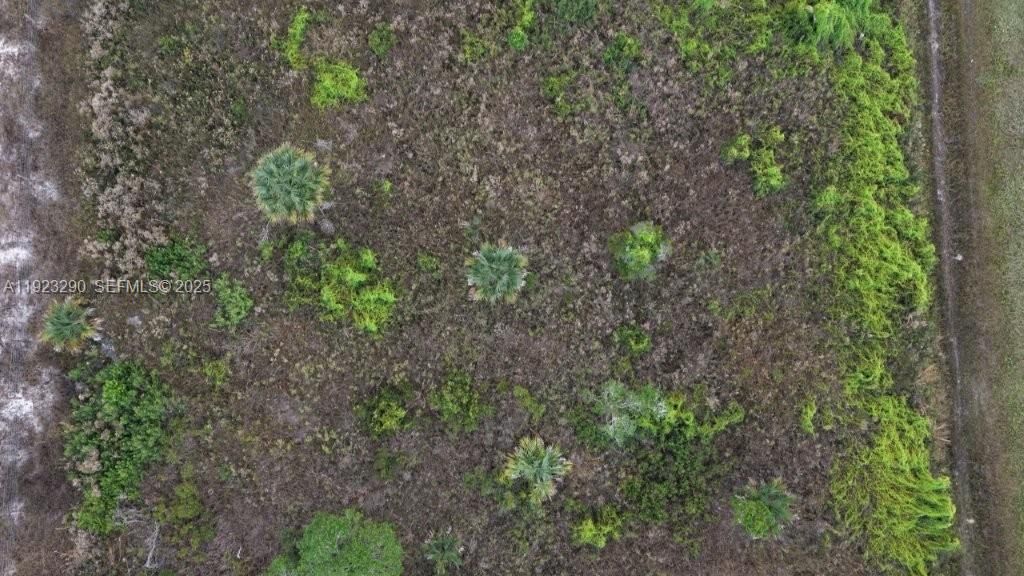 For Sale: $31,000 (1.50 acres)