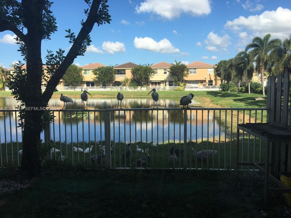 For Rent: $3,500 (3 beds, 3 baths, 1462 Square Feet)