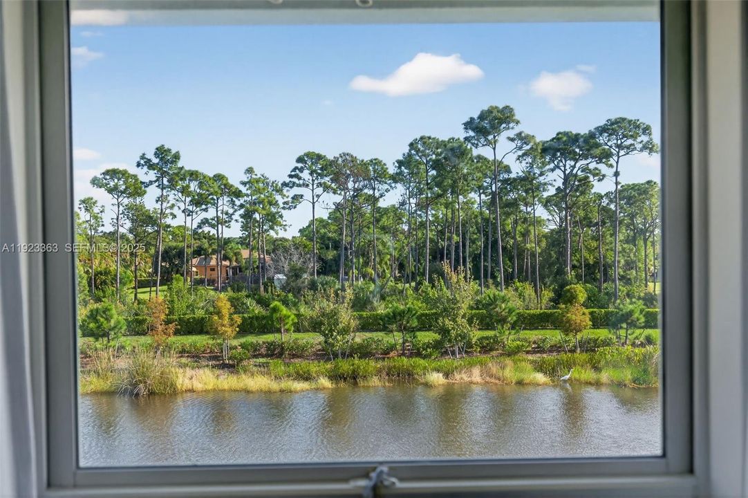 View from Primary Bedroom