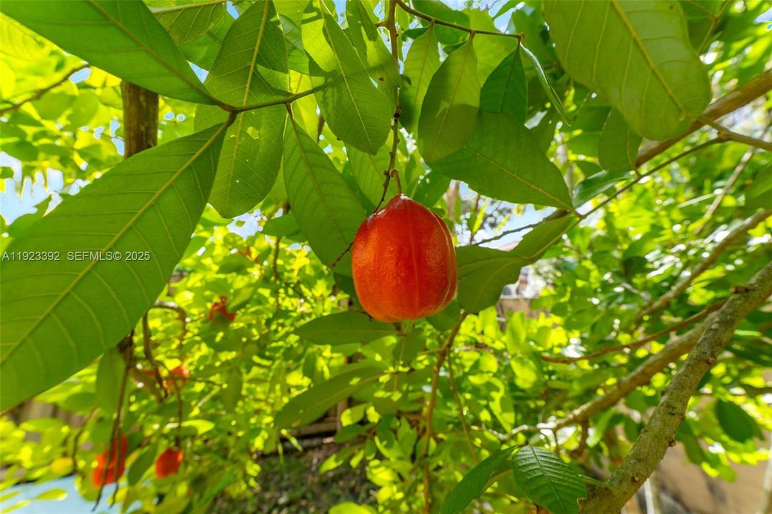 En Venta: $550,000 (3 camas, 2 baños, 1568 Pies cuadrados)