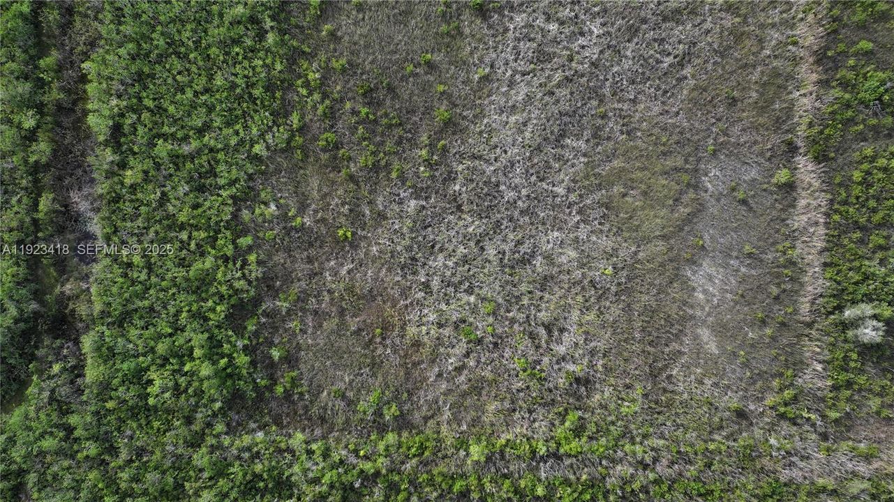 待售: $350,000 (5.00 acres)