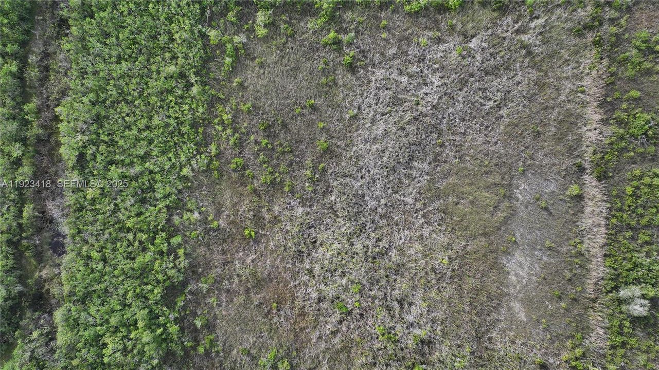 待售: $350,000 (5.00 acres)