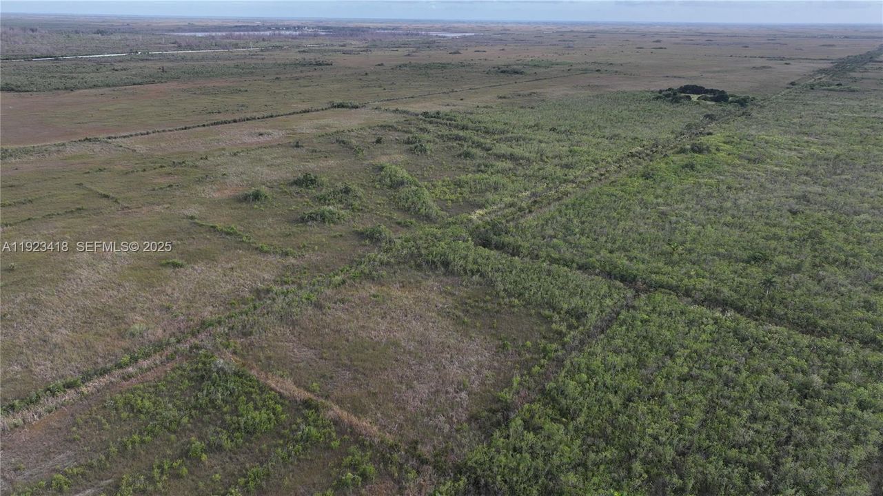 待售: $350,000 (5.00 acres)