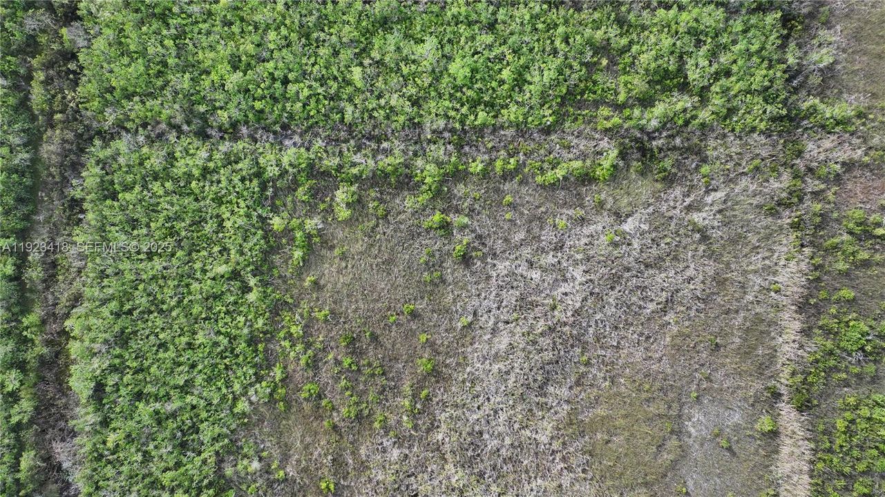 待售: $350,000 (5.00 acres)