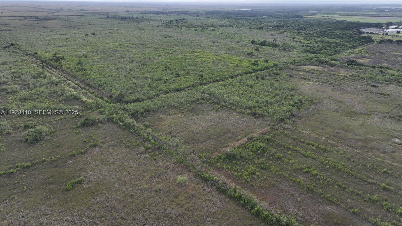 待售: $350,000 (5.00 acres)