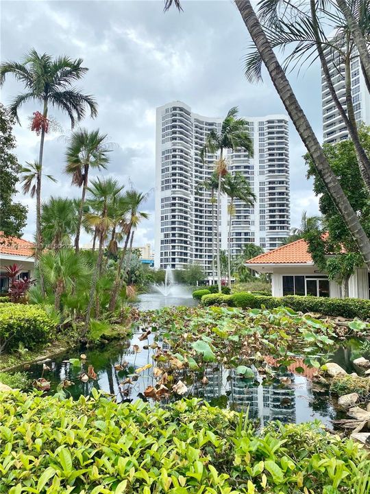 lake with swans, ducks