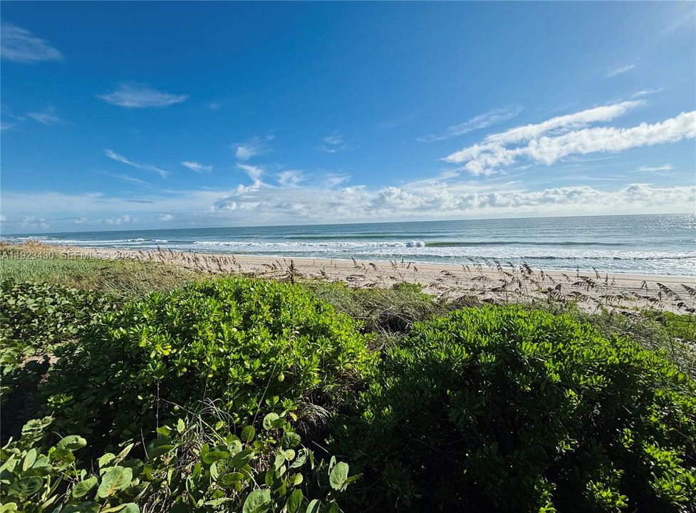 待售: $2,850,000 (0.56 acres)