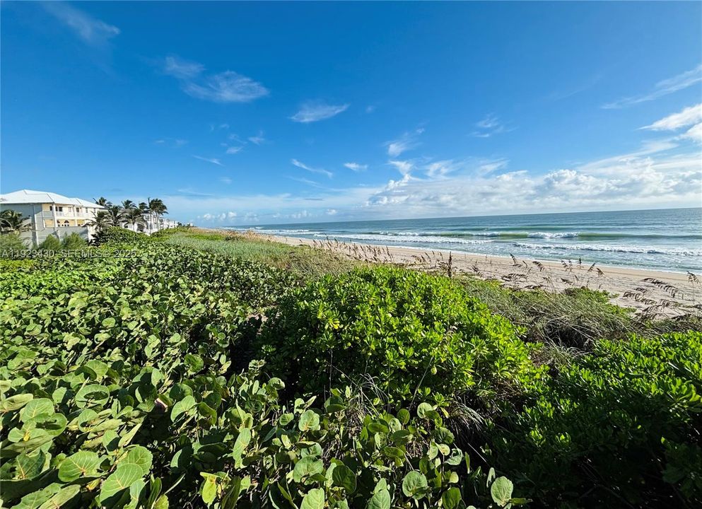 待售: $2,850,000 (0.56 acres)