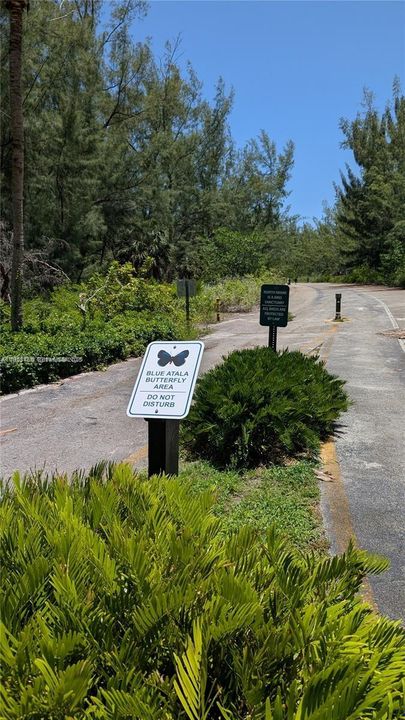 出租: $1,850 (1 贝兹, 1 浴室, 744 平方英尺)