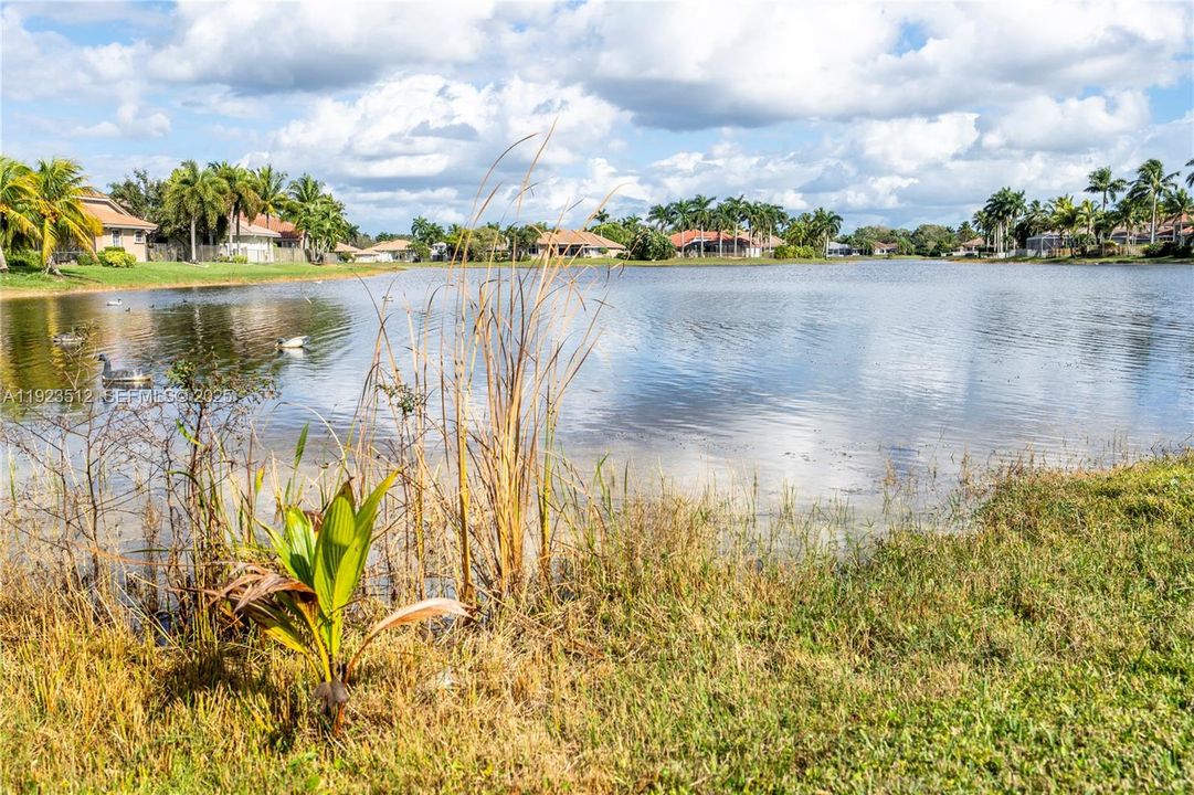 For Rent: $7,200 (5 beds, 3 baths, 2644 Square Feet)