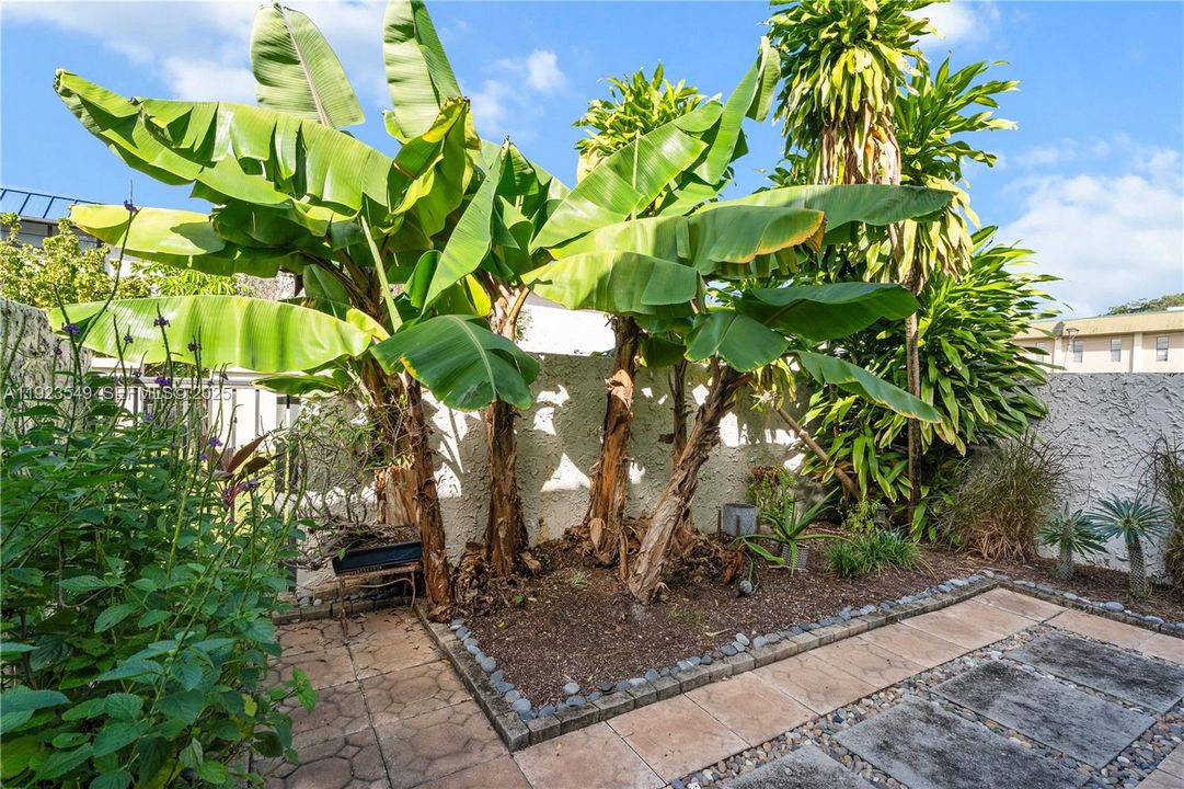 Private garden/ Patio