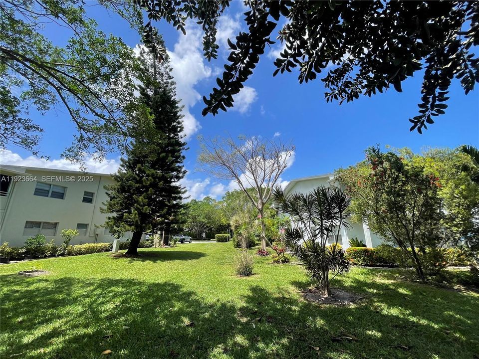 В аренду: $1,440 (1 спален, 1 ванн, 700 Квадратных фут)