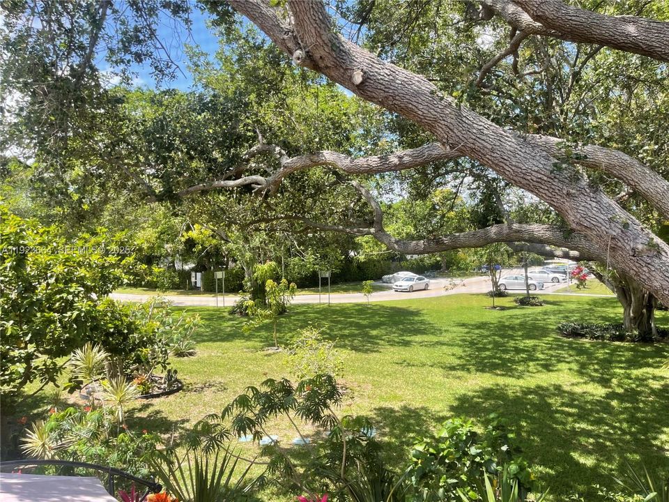 В аренду: $1,440 (1 спален, 1 ванн, 700 Квадратных фут)