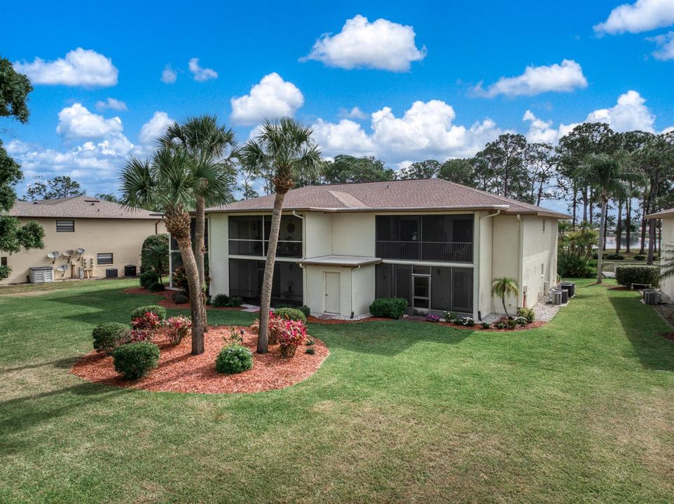 exterior - backyard 4