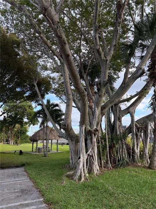 В аренду: $1,800 (1 спален, 1 ванн, 712 Квадратных фут)