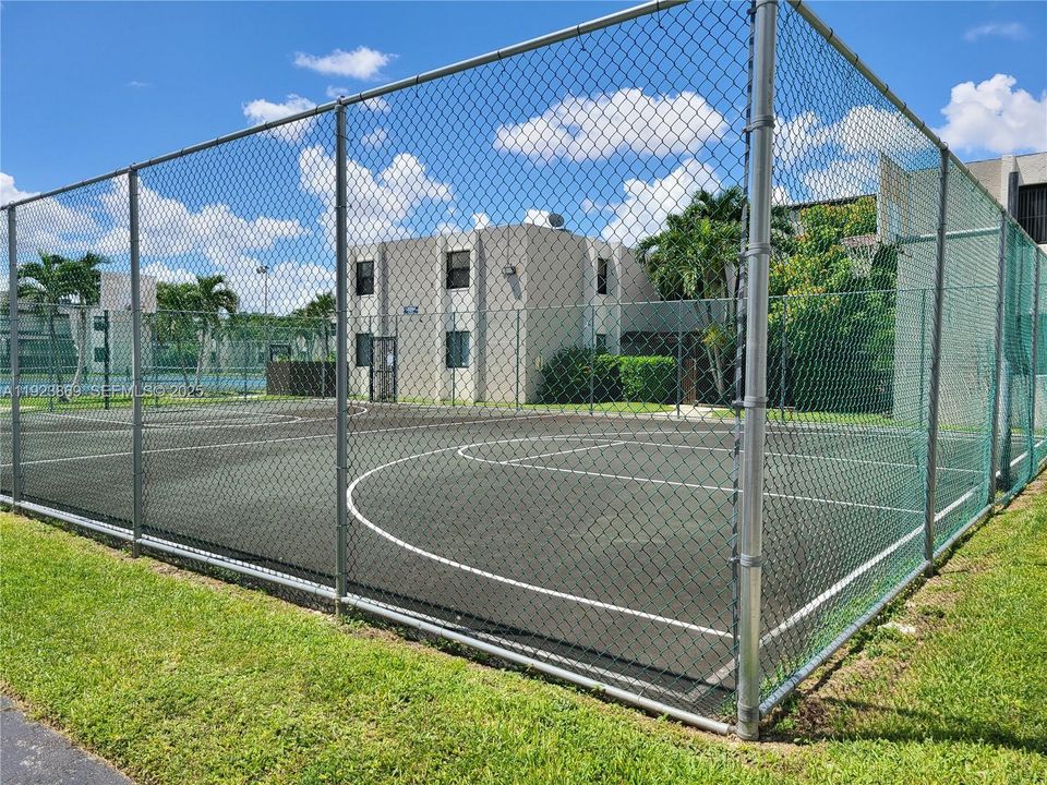 Basket Court