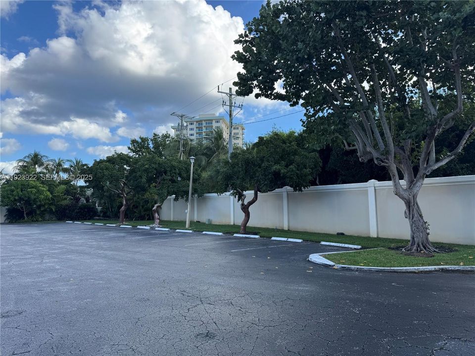 Plenty of guest parking