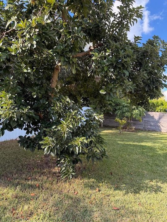 На продажу: $799,900 (3 спален, 2 ванн, 1663 Квадратных фут)