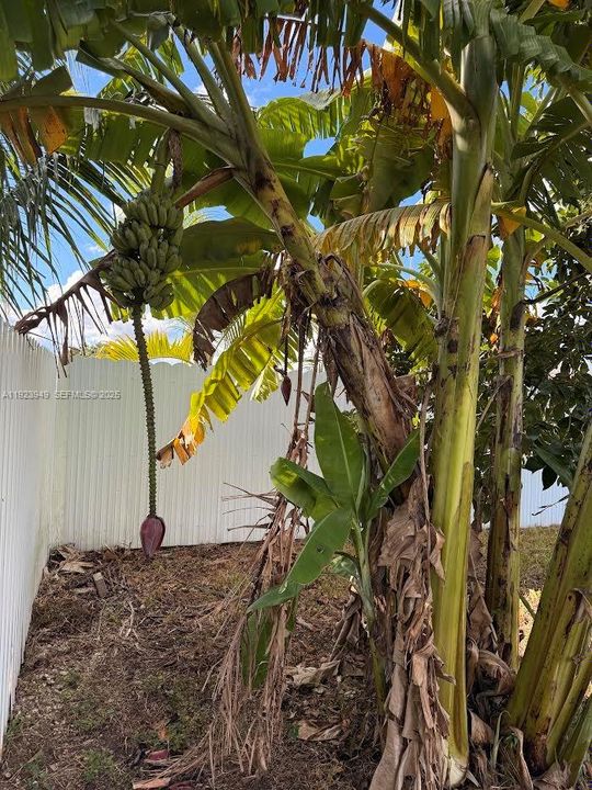 На продажу: $799,900 (3 спален, 2 ванн, 1663 Квадратных фут)