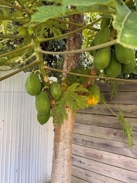 На продажу: $799,900 (3 спален, 2 ванн, 1663 Квадратных фут)