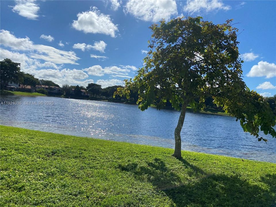 出租: $2,400 (2 贝兹, 1 浴室, 710 平方英尺)