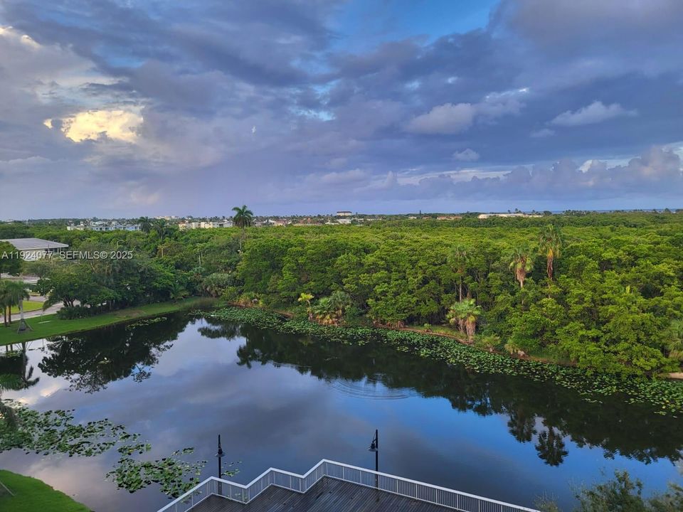 For Rent: $2,300 (1 beds, 1 baths, 805 Square Feet)