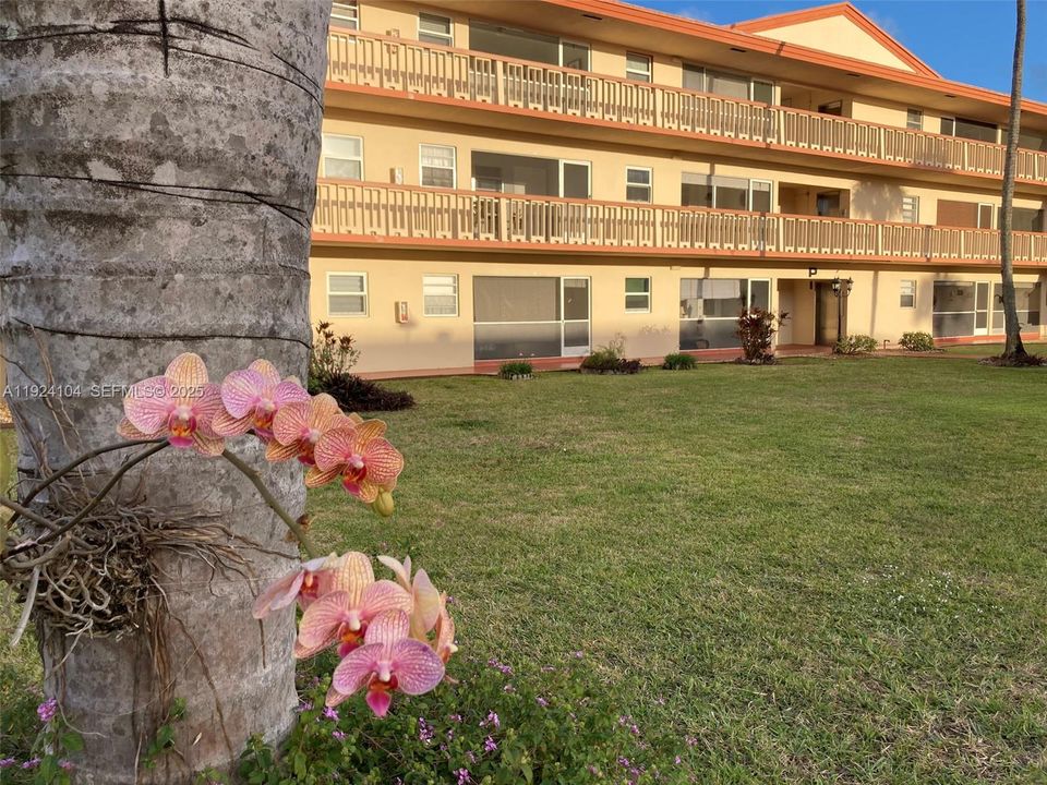 En Venta: $109,000 (1 camas, 1 baños, 720 Pies cuadrados)