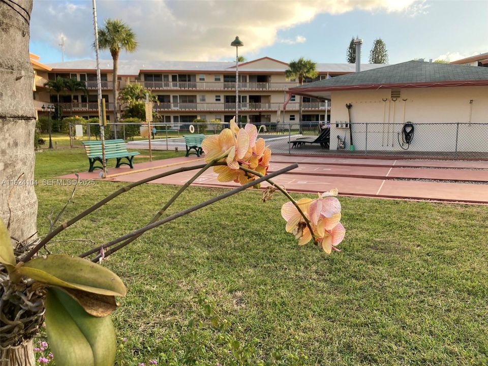 En Venta: $109,000 (1 camas, 1 baños, 720 Pies cuadrados)