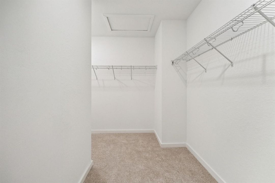 Primary Walk-in Closet