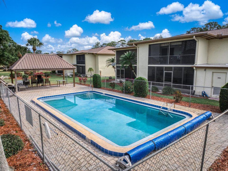 exterior - backyard 1