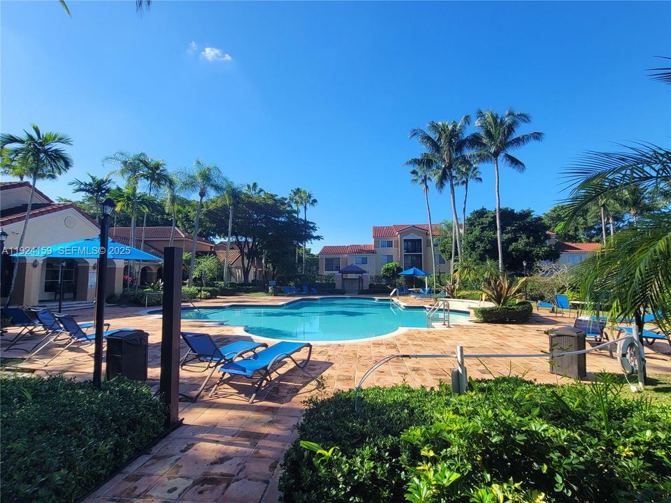 出租: $2,600 (3 贝兹, 2 浴室, 1125 平方英尺)