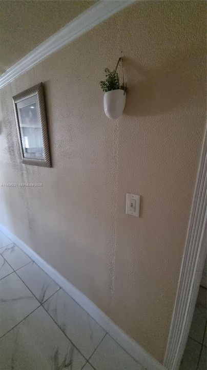 For Sale: $250,000 (3 beds, 2 baths, 5290 Square Feet)