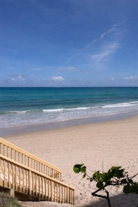 Ocean