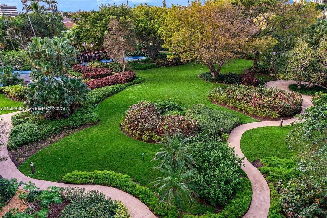 Garden view from the building