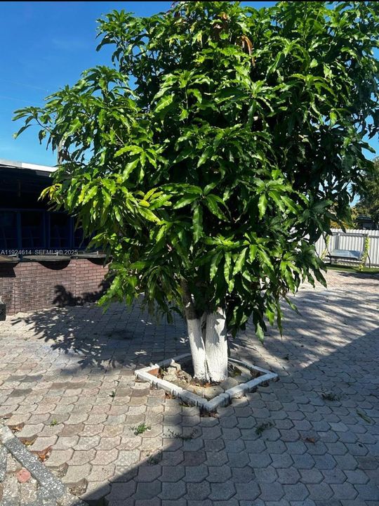 На продажу: $460,000 (5 спален, 2 ванн, 1508 Квадратных фут)