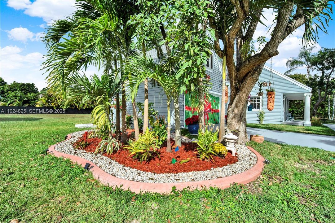 Tropical foliage.