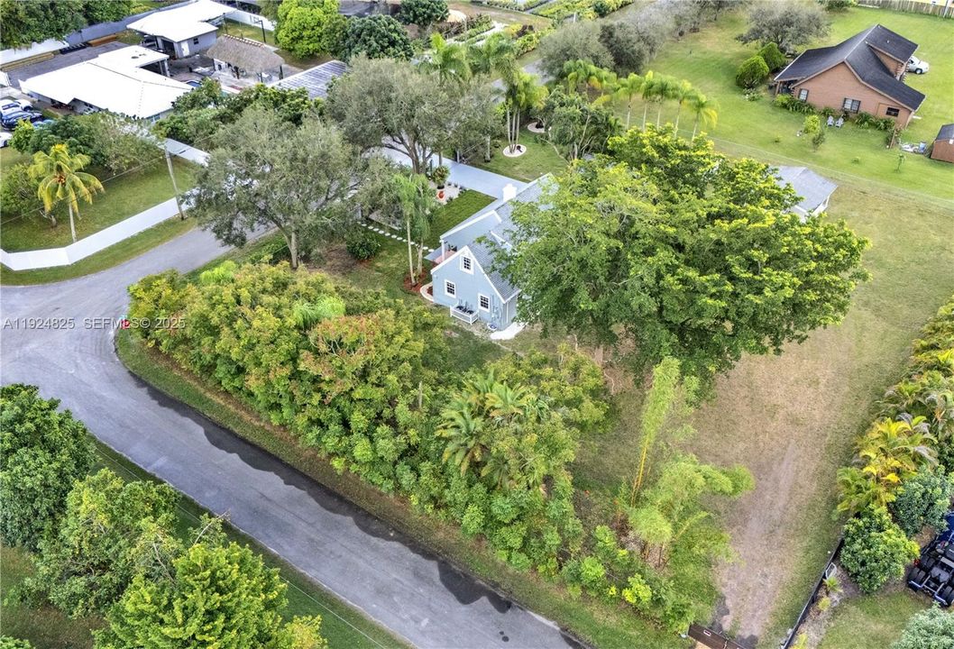 Magnificent mature trees and tropical plants in harmony with nature.