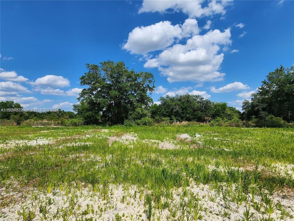 For Sale: $48,500 (1.25 acres)