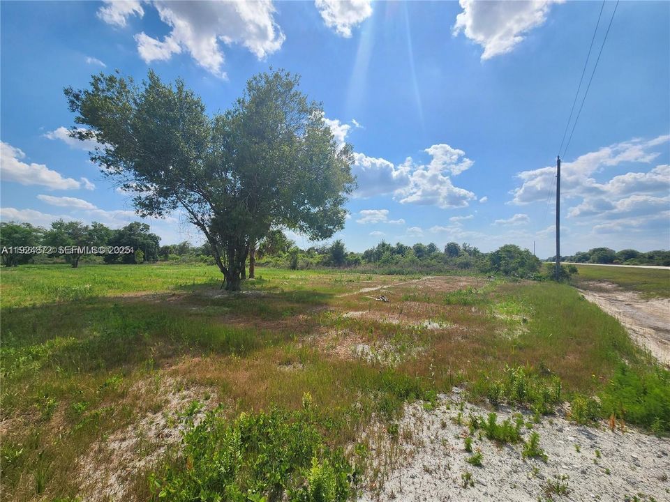 For Sale: $48,500 (1.25 acres)