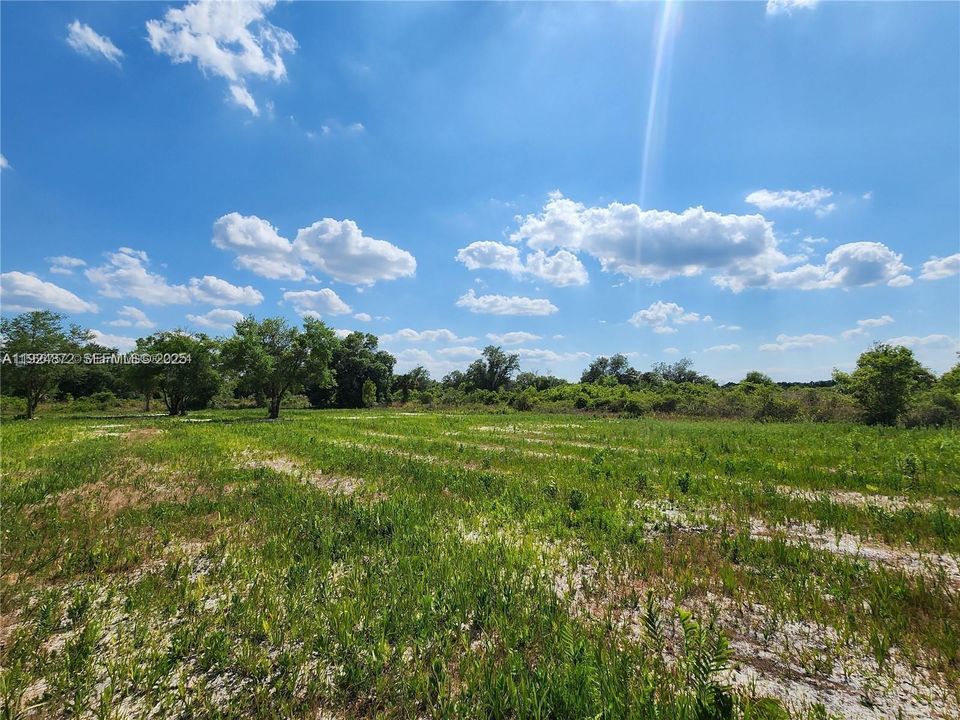 For Sale: $48,500 (1.25 acres)